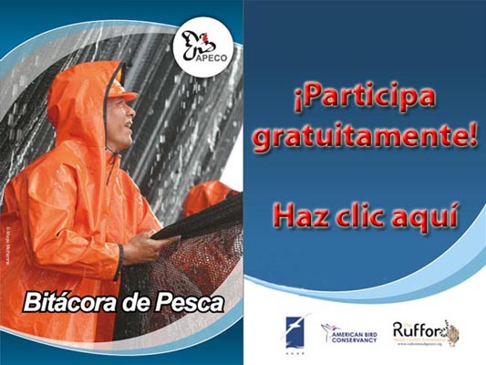 Haz clic