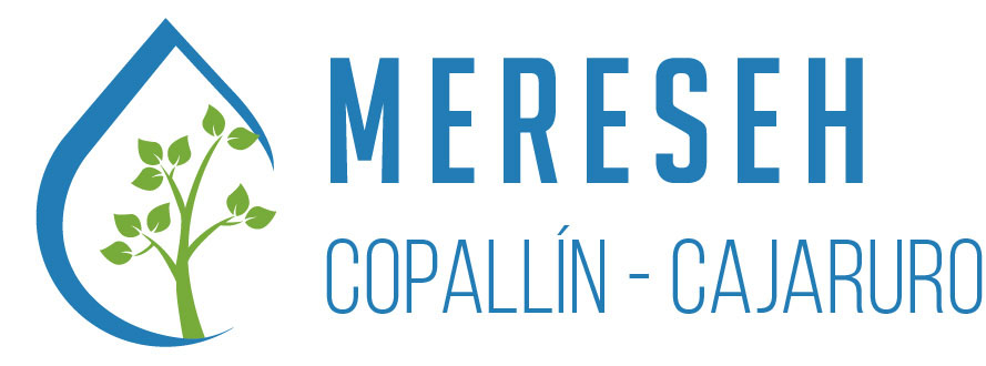 Logo Mereseh3