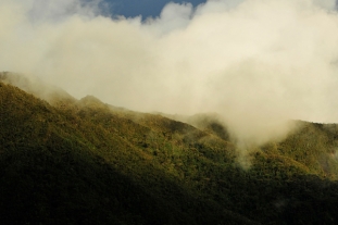 Copallin recibe reconocimiento por su Gestión Ambiental Local Sostenible