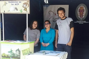 Apeco participa en la II Feria del Empleo y Emprendimiento en Chachapoyas