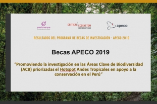 Becarios de Apeco presentan resultados de sus investigaciones