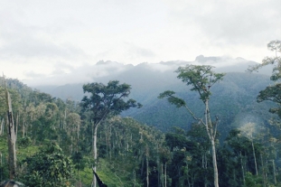 Iniciamos proyecto a favor de la Cordillera de Colán