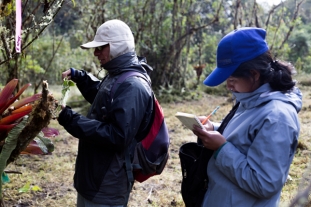 Apeco financiará 8 becas de investigación