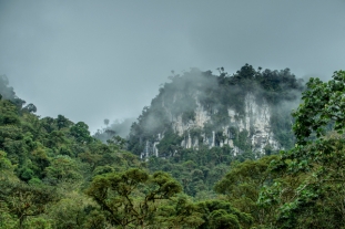 LANZAN CAMPAÑA PARA ESTABLECER ÁREA DE CONSERVACIÓN EN AMAZONAS