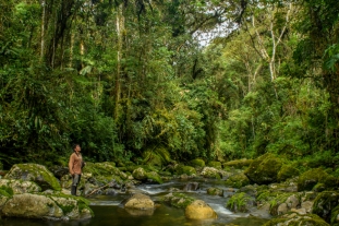 Vista Alegre Omia es declarada Área de Conservación Regional