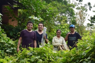 Becaria de Apeco descubre nuevas especies de Aphelandras