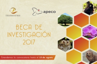 Se amplia la convocatoria para postular a la beca de investigación