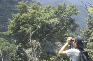 Curso. Sistema de indicadores de sustentabilidad turística (SIST) y modelos turísticos estratégicos